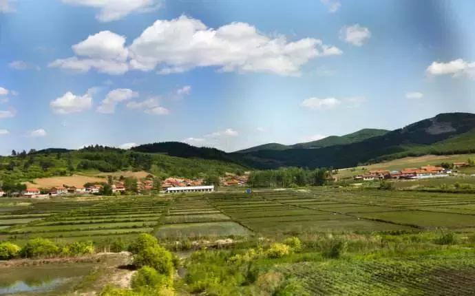 大量热钱涌入,牡丹江林口县花岗岩石块大量供应