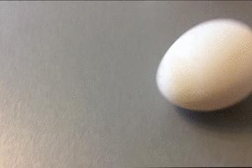 鸡蛋皮缝合手术,缝合鸡蛋膜视频教程