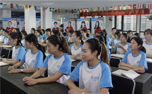 全脑开发上中下,引领全脑开发