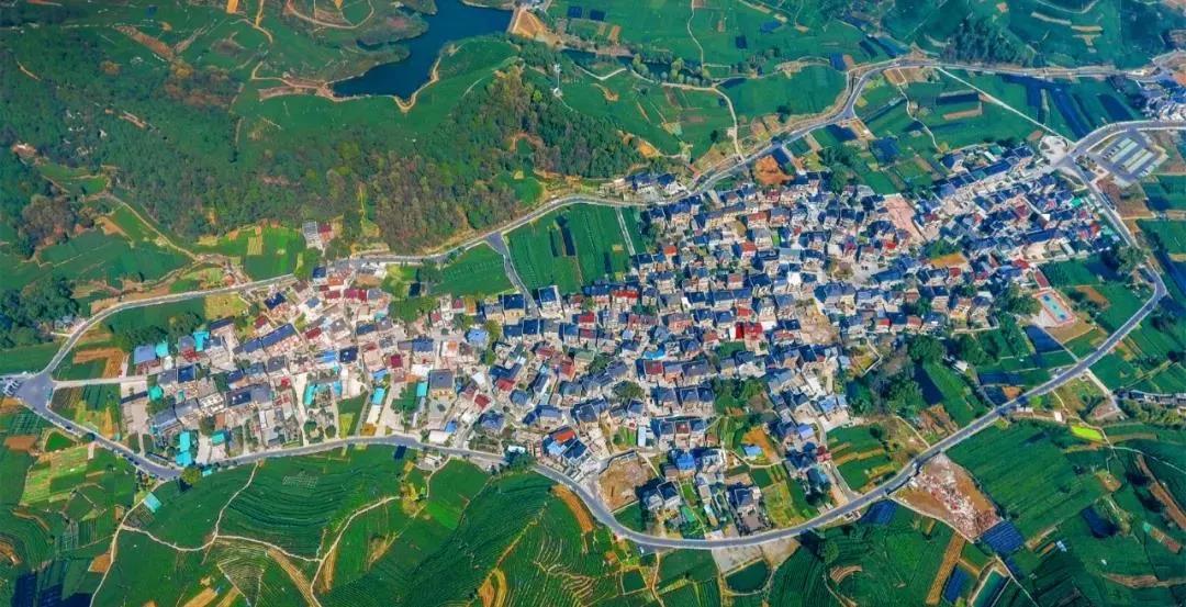 西湖区委书记高国飞：亚运来黄龙观赛，推荐游两景区