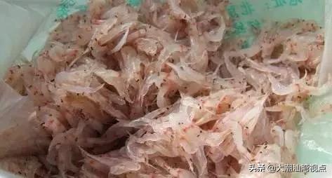 作为潮汕人，这89种海鲜你都能对上号吗