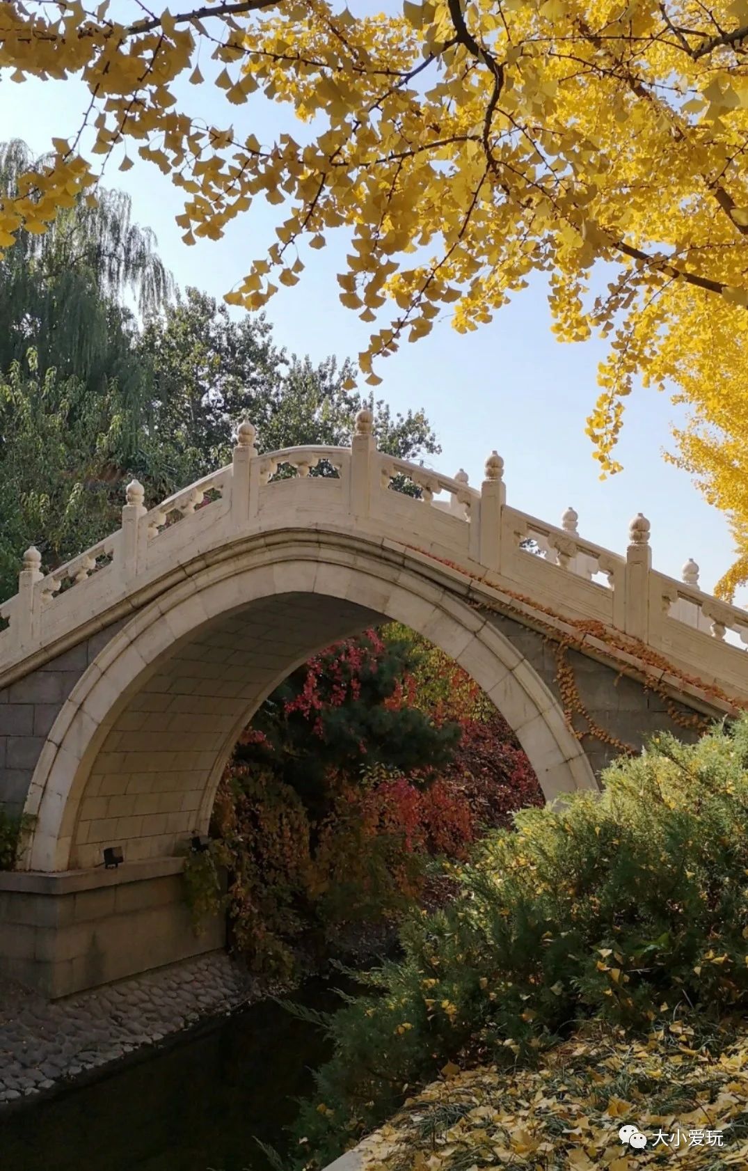 北京适合踏春旅游景点,北京春天看花的景点推荐