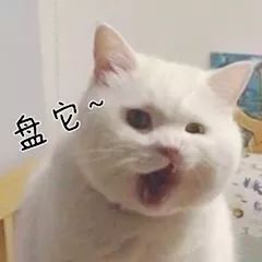 约吗|这一次,我们把“瑞星”年度盛典搬进了“雪山”