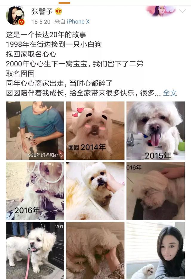 母亲节到了明星们的日常,母亲节特辑明星辣妈们的小秘密