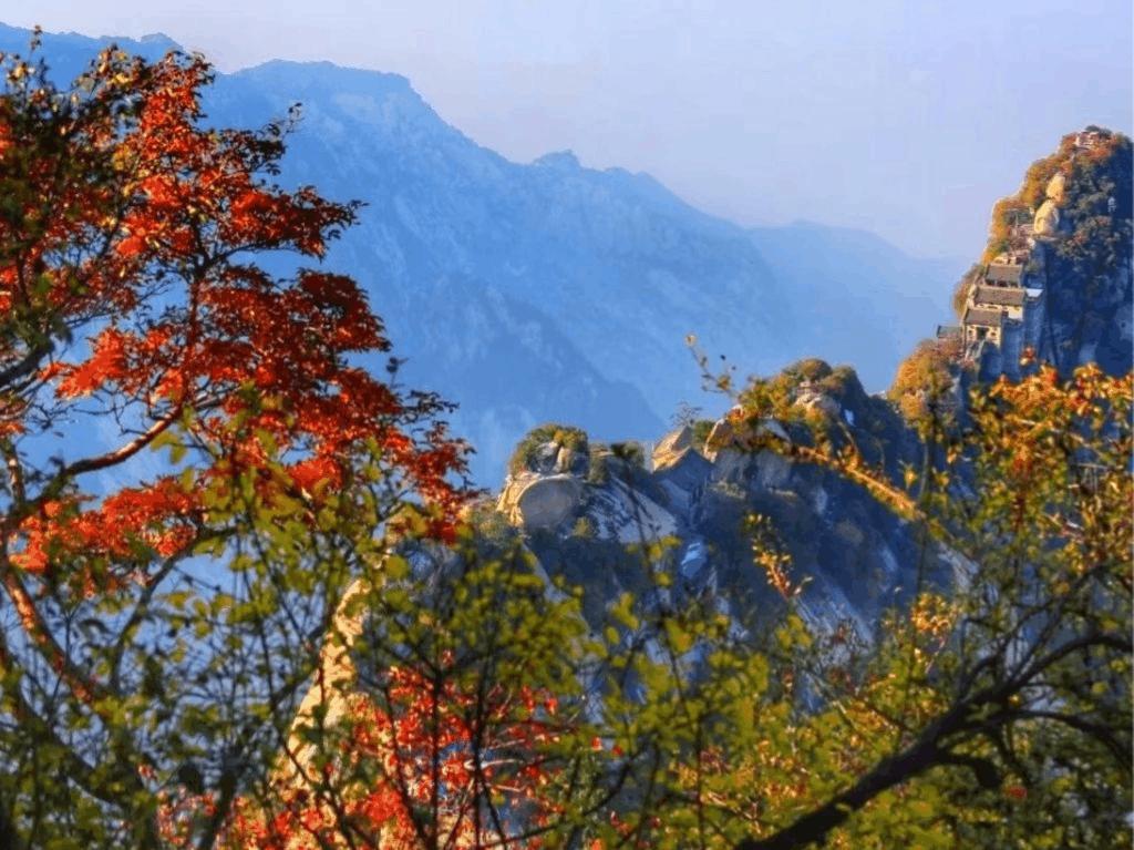 直播丨侠动北峰，一叶知秋