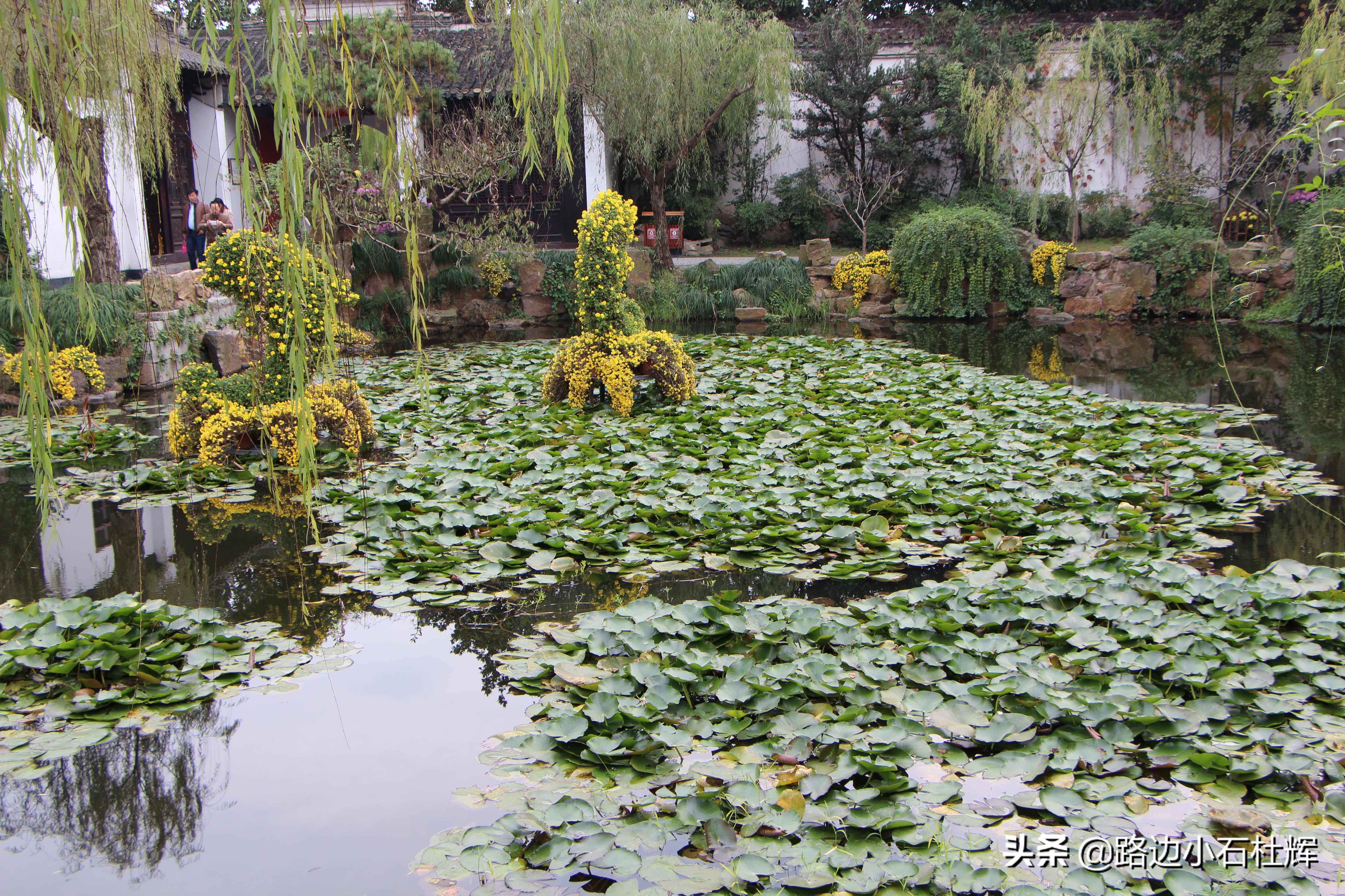 扬州瘦西湖之行,扬州瘦西湖游一圈