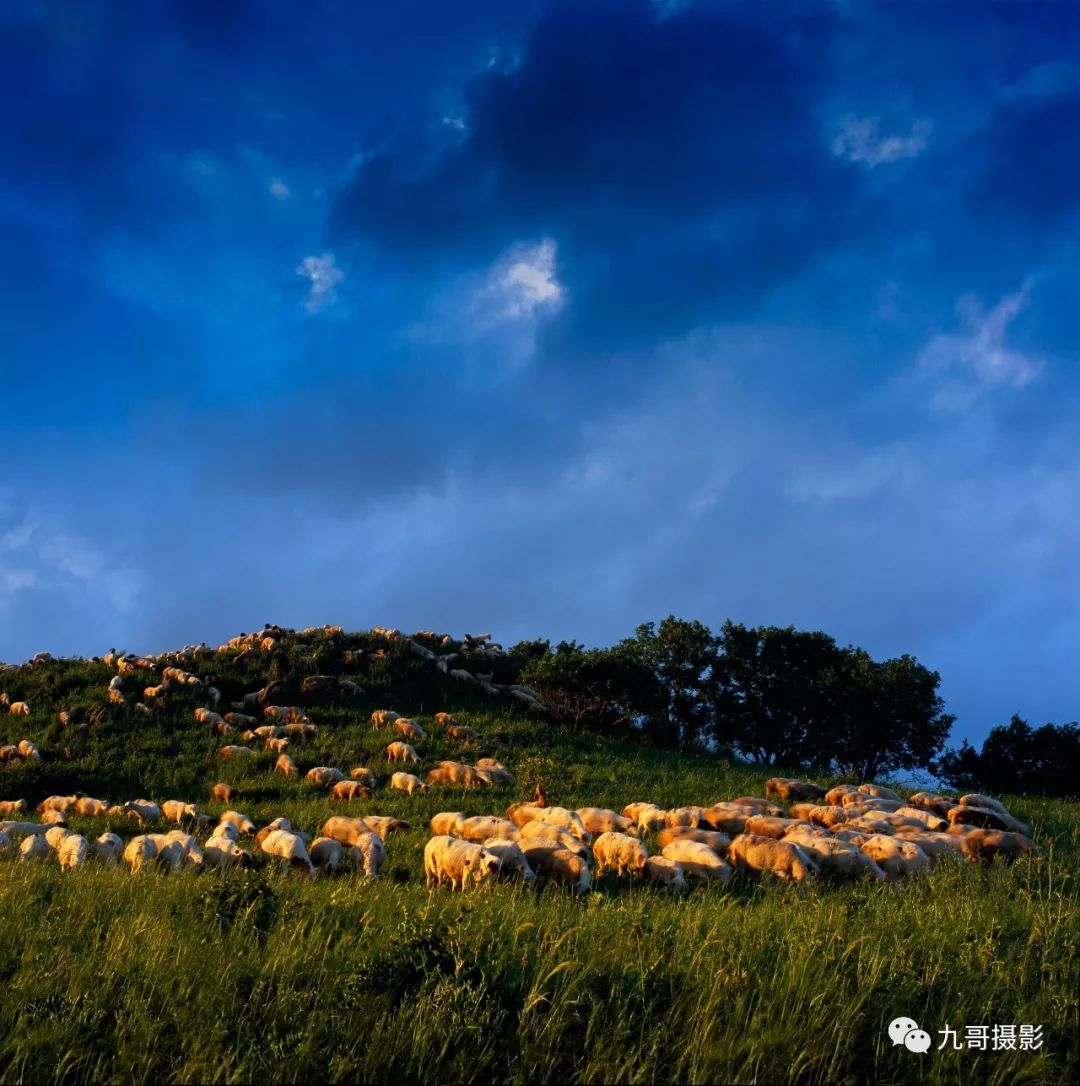 坝上草原天路美景,大美坝上风光系列之一