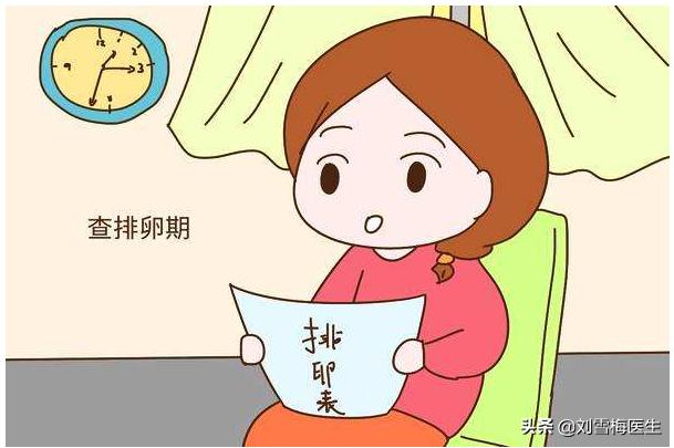 20个排卵试纸够了吗,排卵试纸怎么使用和怎么看