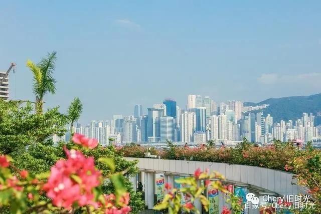 清风拂面的独家记忆——玩味香港（一）