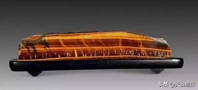 怎么捡到价值极高的石头,捡到一块石头价值千万