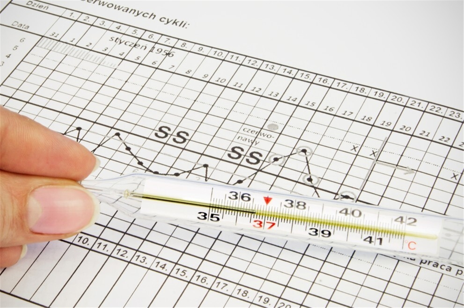 一年中什么季节怀孕最好,一年中哪个月份最易怀孕