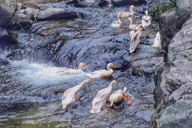 邂逅秋天的千岛湖！光看图已美醉，住这7家美宿避开人群赏湖景山色