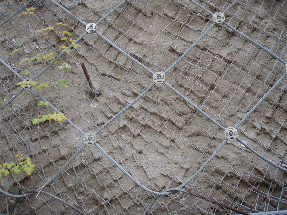 河北成帅边坡防护网,安平县边坡防护有限公司