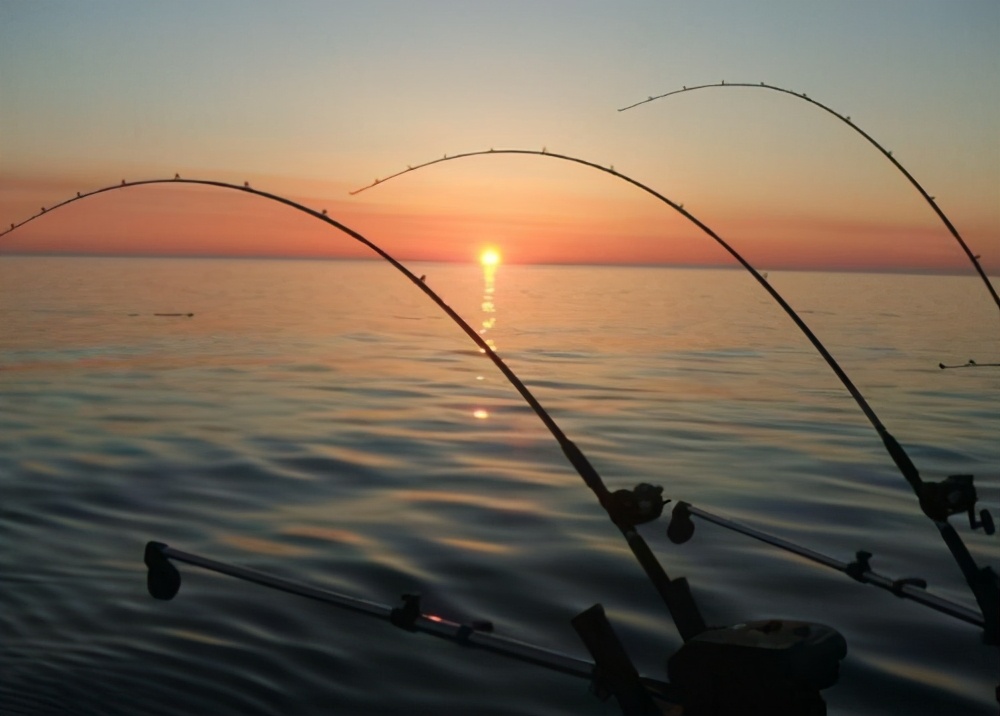 厦门旅游攻略免费,厦门旅游哪里好玩又免费攻略