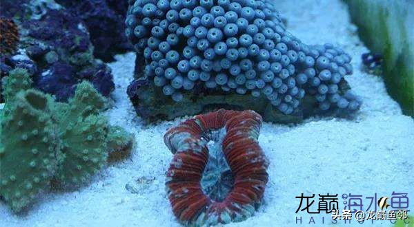 说出来都是泪！只有新下海的人才能体会这种痛，简直是全军覆灭