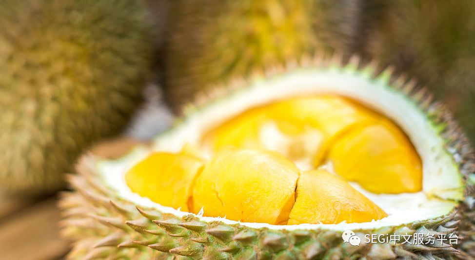 马来西亚的榴莲有啥品种,马来西亚榴莲有几种