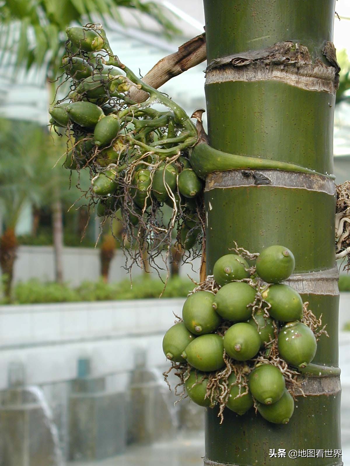 涓囪浇鍘垮湴鍚嶇殑鏉ュ巻,涓囪浇鍦板悕鏉ユ簮