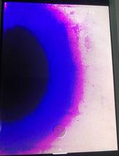 摊上华为手机触摸屏失灵、屏幕漏液，千万看好自己的手机啊