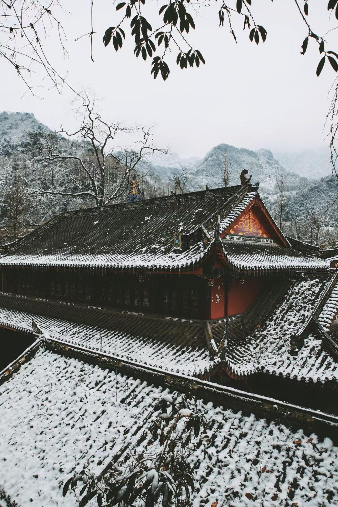 拜道青城山和问道青城山,青城山风景问道