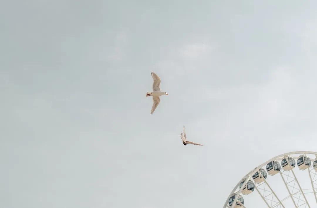 从婚外情中走出来后彻底醒悟,从出轨到离婚的斗智斗勇