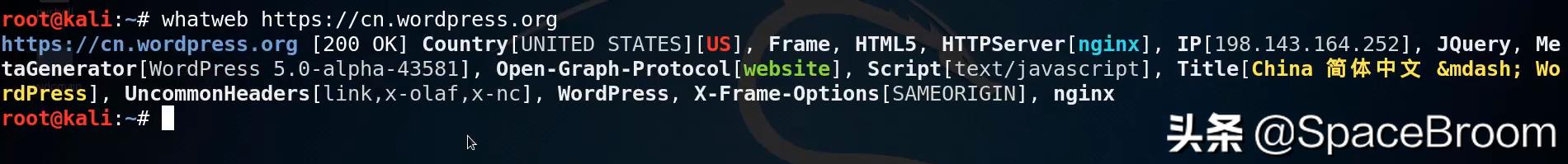 二十二，渗透网站信息，域名信息、端口信息、敏感信息及指纹信息