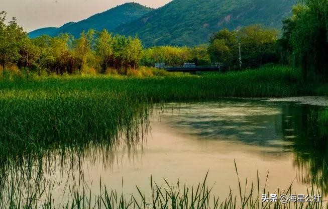 无锡十大免费公园排名榜最新,无锡晚上公园免费景点