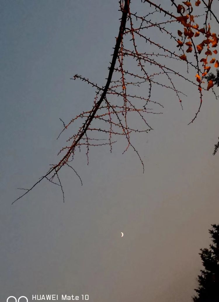 深秋的私语,美文美图经典欣赏