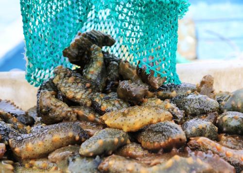 三面环海的海滨城市,三面环海