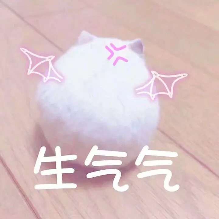 如何辨别会不会是假冒官方旗舰店,你以为的正品都是山寨品牌