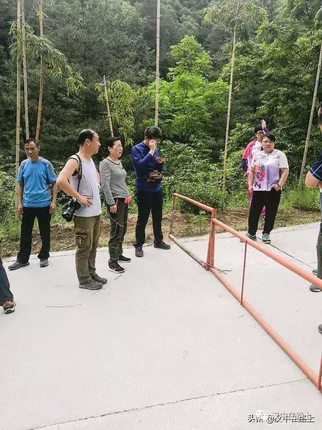 探秘汉中,汉中一村子窜入野生羚牛