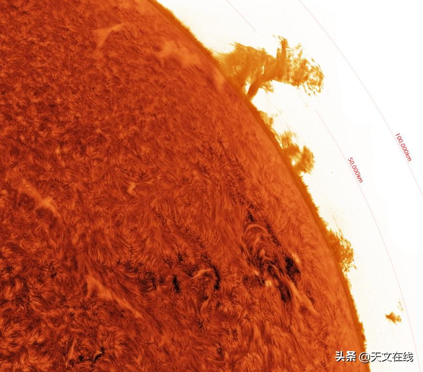 科学家最新观测到太阳表面,科学家在观测太阳时发现了什么