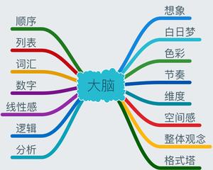 思维导图能让孩子学习效率倍增,3-6岁儿童学习与发展指南思维导图