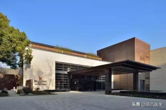 上海可带宠物入住的酒店推荐,怎么选宠物友好酒店房间