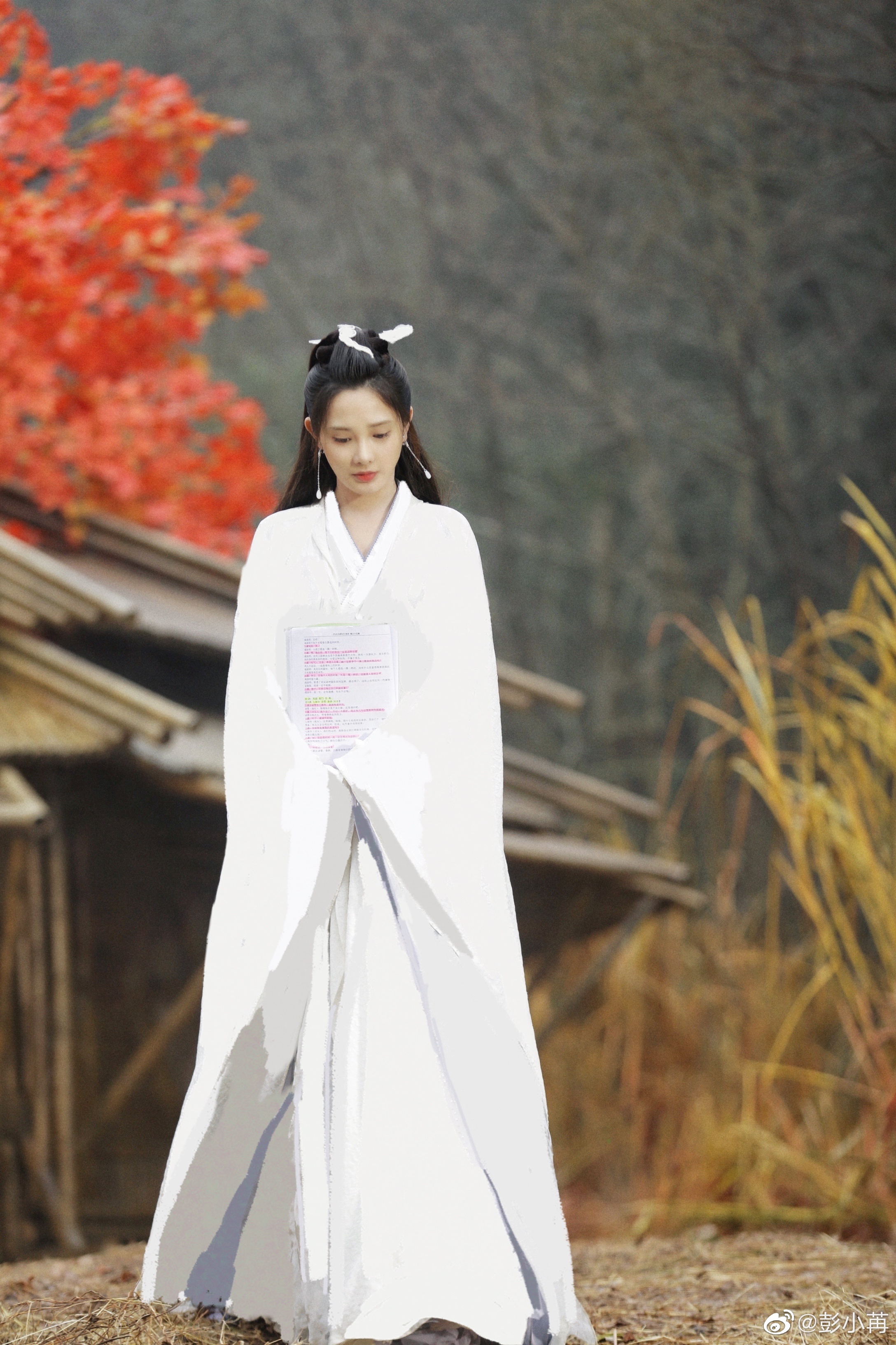 九州朱颜记冯绍峰和彭小苒,彭小苒九州朱颜记路透造型