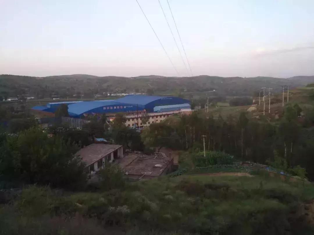 【本土】黄黑绿:印象三色准格尔旗“羊塔市”