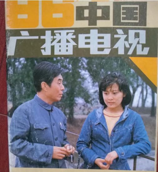 这20部老剧值得回味,十部必看经典老剧