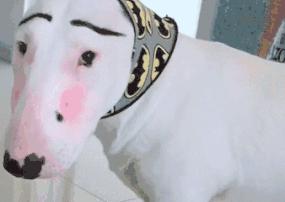 闭口痘皮肤粗糙用哪个精华,闭口好了皮肤不平