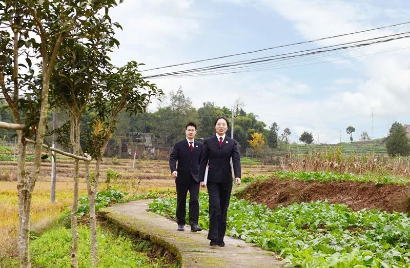 检察足迹,阔步新时代风景视频素材