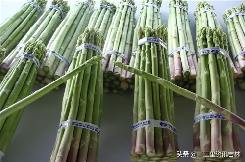 宜春特产芦笋,永吉芦笋批发市场