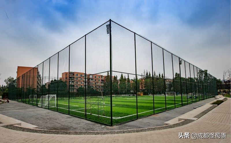 成都室内大型运动场地,周末可以打羽毛球的场子