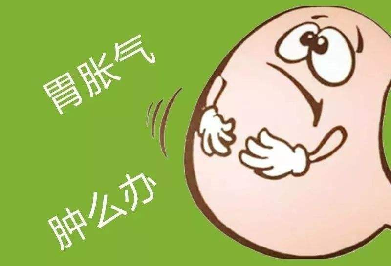 老是胃胀气怎么养胃,总是胃胀气的有没有偏方