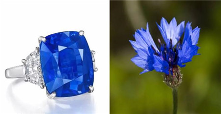 我的蓝朋友原版视频,我的蓝朋友免费完整