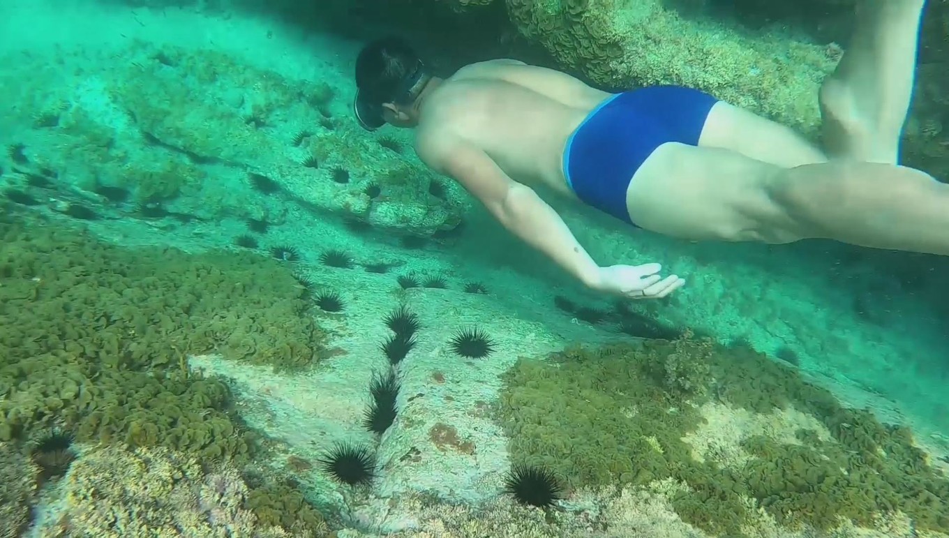 南澳岛看海完整版,南澳岛看海解读