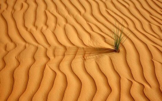 沙漠里的沙子属于矿产资源吗,沙漠里的沙子能造玻璃吗