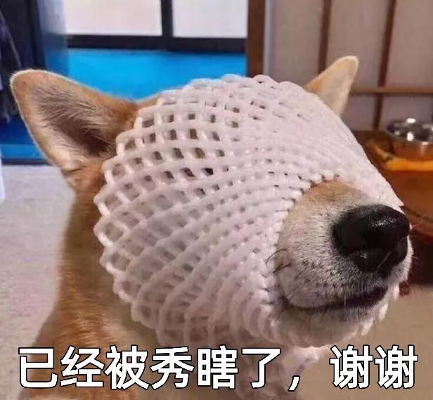 递婚书许良缘，《原来我很爱你》这样的“苏式”浪漫，你学会了么？