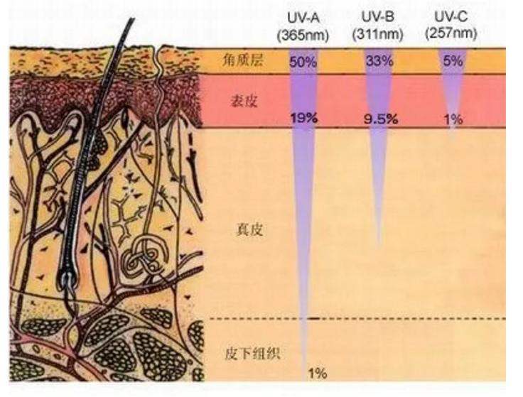 夏日阳光照射,夏日阳光很刺眼