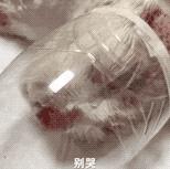 “割声带、截肢、电击，当爱变成我的噩梦”