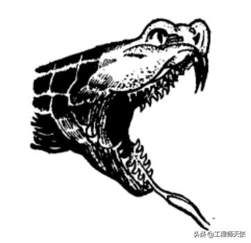 浙江男子走夜路被剧毒蛇咬,成功自救!做法实用,比教科书还经典