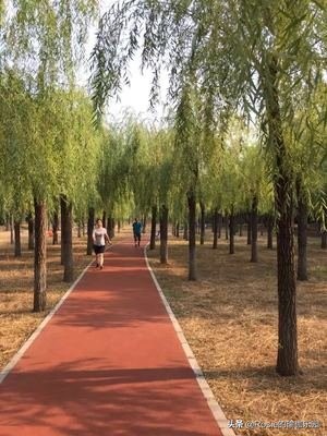 爱穿高跟鞋带来的烦恼,爱穿高跟鞋如何保护脚