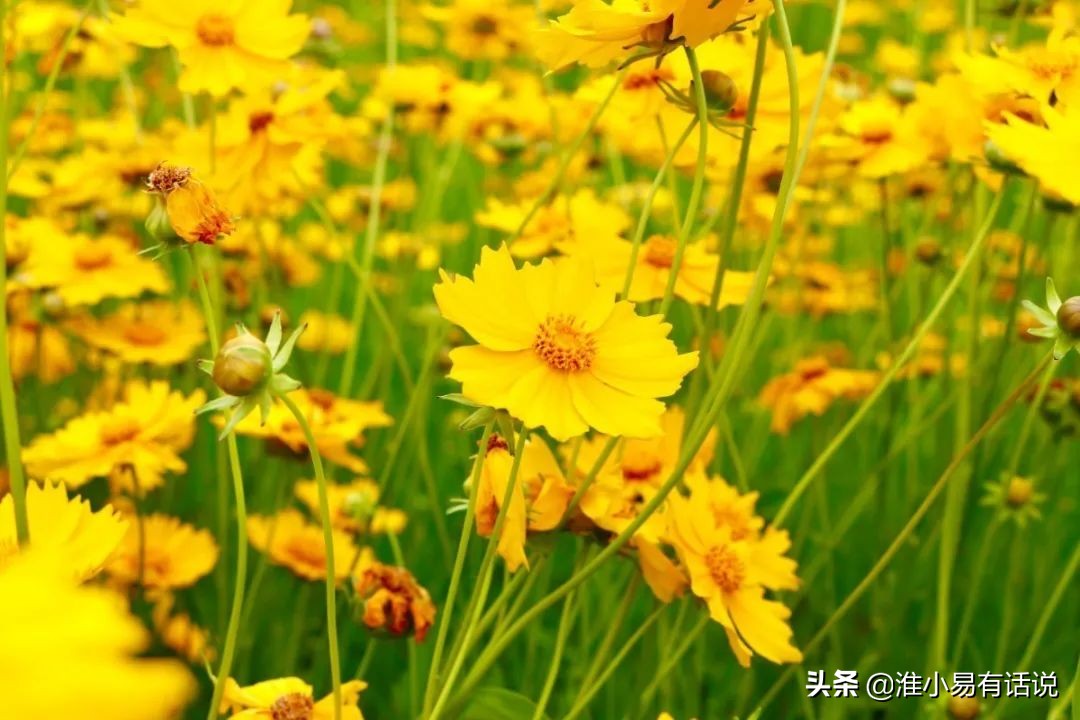 你想要的福利：快乐宝地，美丽倾心！这个便宜你占不占？